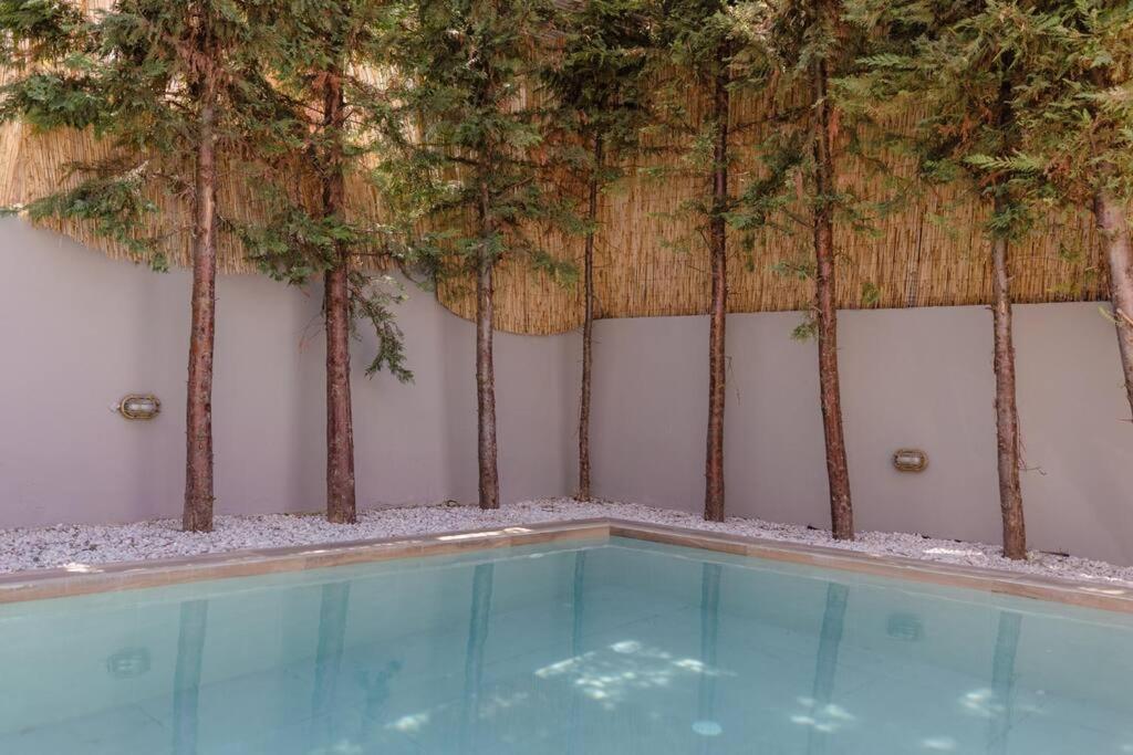 G&m Luxury With Pool * Khania